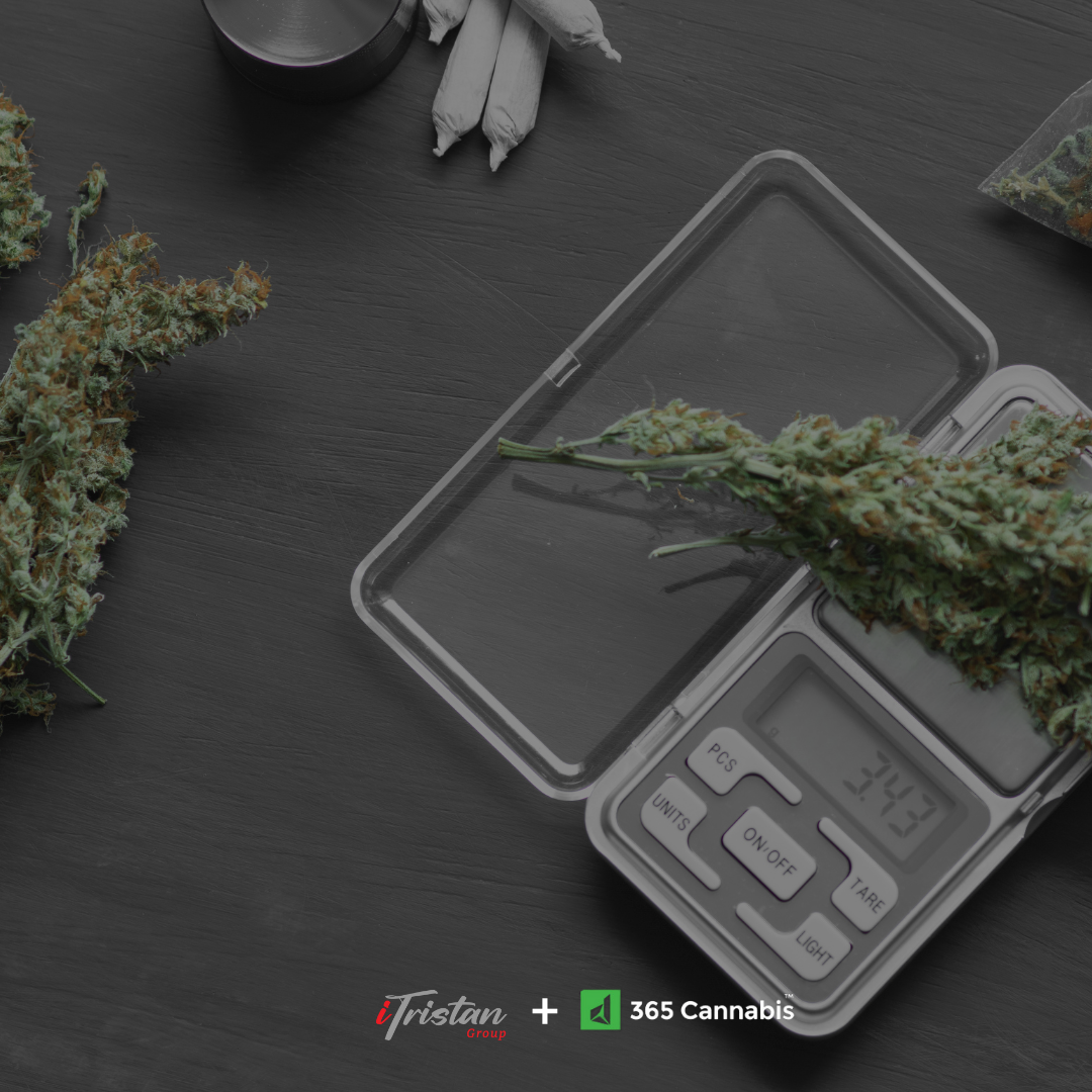 scaleYourCannabis-blank.png
