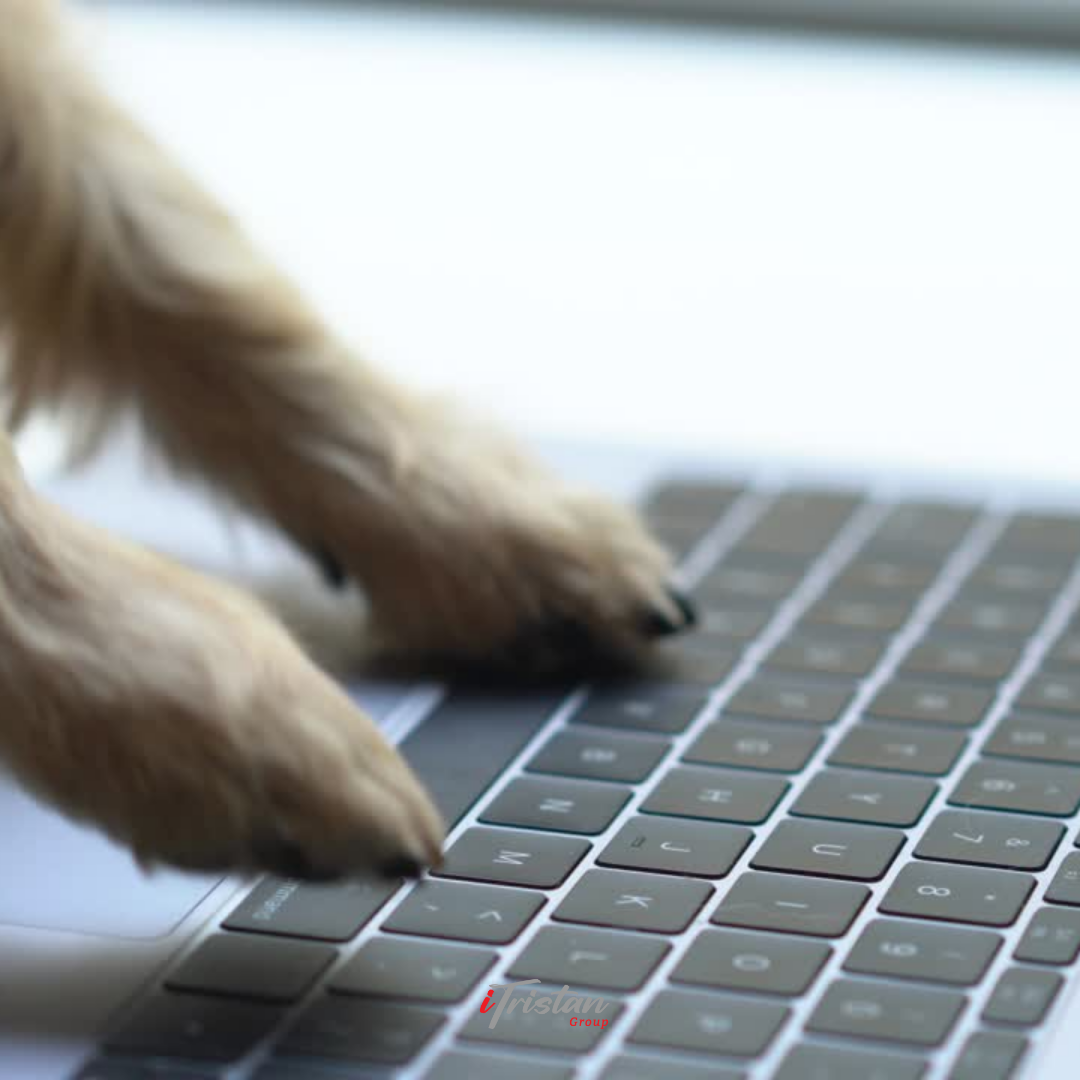IG-LeftHandRight2-dog-type-thumb.png