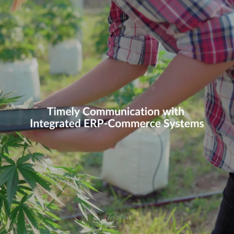 IG-post2-TimelyCommunication(1).png