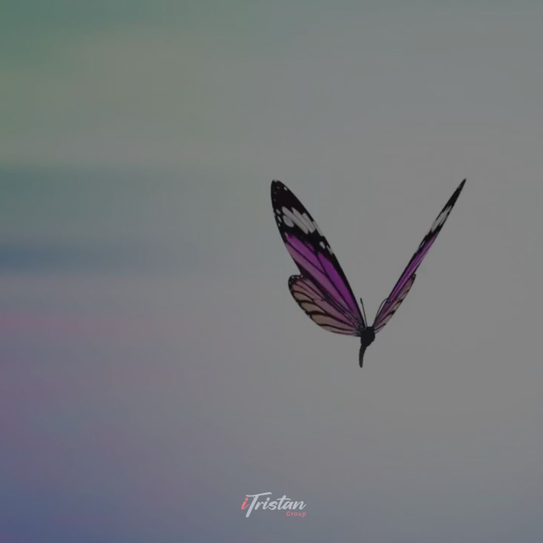 STATIC-post4-butterfly-blank.jpg