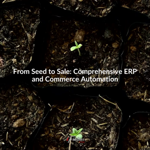 IG-post4-fromSeedToSale-static.png