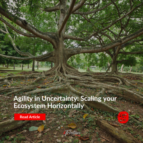 social-agility-uncertainty-scaling.png